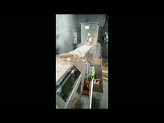 خط إنتاج أغذية الأسماك محرك سيمنز الرئيسي مادة الفولاذ المقاوم للصدأ