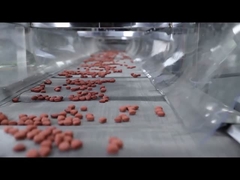 خط إنتاج أغذية الكلاب الأوتوماتيكي بالكامل بشهادة CE