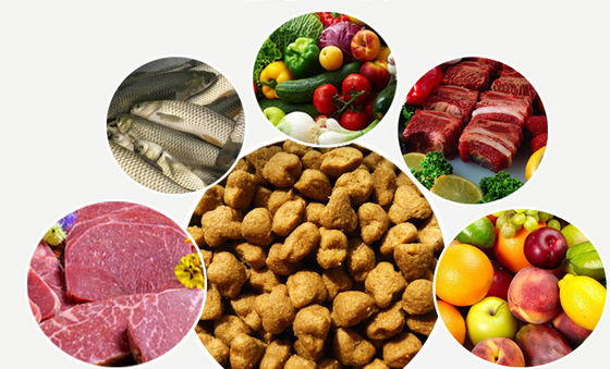 آلة صنع حبيبات طعام الكلاب الجافة من الفولاذ المقاوم للصدأ