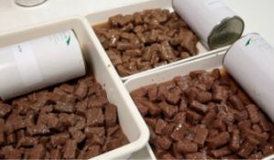 خط معالجة غذاء الحيوانات الأليفة المهنية / آلات غذاء الحيوانات الأليفة