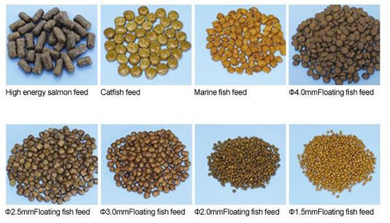 Automatic Dog Cat Pet Food Production Line Made Of Stainless Steel 304 With Capacity 150-5000kg/h