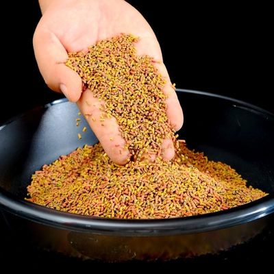 2000-6000 كجم/ساعة آلات بثق علف الأسماك العائمة من العشب