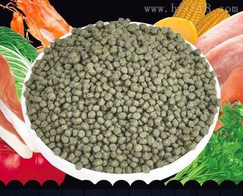 400-500kg/H Screw Fish Pellet Extruder Small Floating Fish Feed Machine