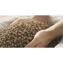 آلة صنع حبيبات علف الأسماك التوأم 200-260 كجم/ساعة معدات تغذية الأسماك