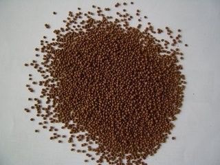 آلة صنع حبيبات علف الأسماك التوأم 200-260 كجم/ساعة معدات تغذية الأسماك