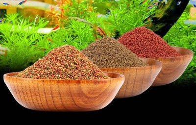 آلة صنع حبيبات علف الأسماك التوأم 200-260 كجم/ساعة معدات تغذية الأسماك