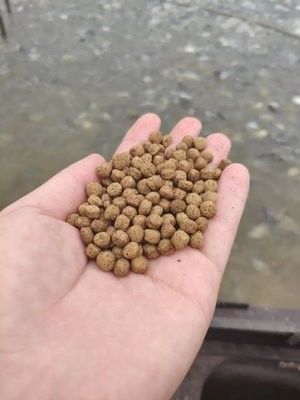 آلة صنع علف الأسماك العائم 100-160 كجم/ساعة لطحن الحبيبات