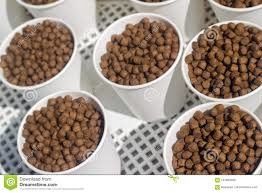 آلة تصنيع علف الأسماك من الفولاذ المقاوم للصدأ لتربية الأحياء المائية 100 كجم/ساعة - 6 طن/ساعة