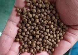 آلة تصنيع علف الأسماك من الفولاذ المقاوم للصدأ لتربية الأحياء المائية 100 كجم/ساعة - 6 طن/ساعة