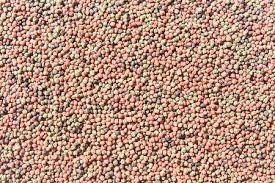 100 كجم/ساعة-6 طن/ساعة محرك طحن مزدوج المسمار لأطعمة الأسماك