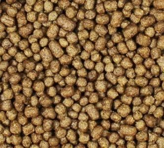 أجهزة تصنيع الأغذية السمكية